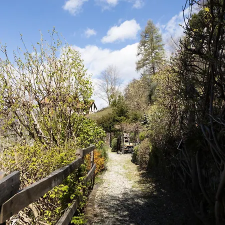 Borgo Verginate Panorama